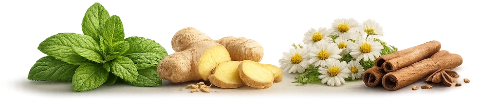Leaves and spices used in infusions, including mint, ginger, flowers, and cinnamon